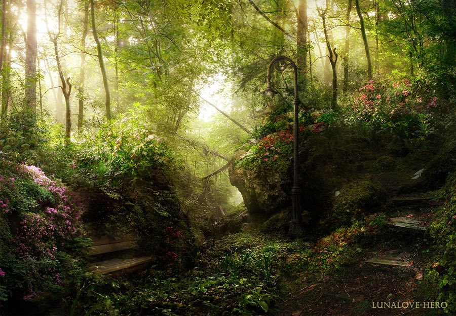 ramblingsloa's tweet photo. And if every way is closed before you.

The secret one will show a secret path no other eyes have seen.”

Rumi https://t.co/lt94CNCGtT