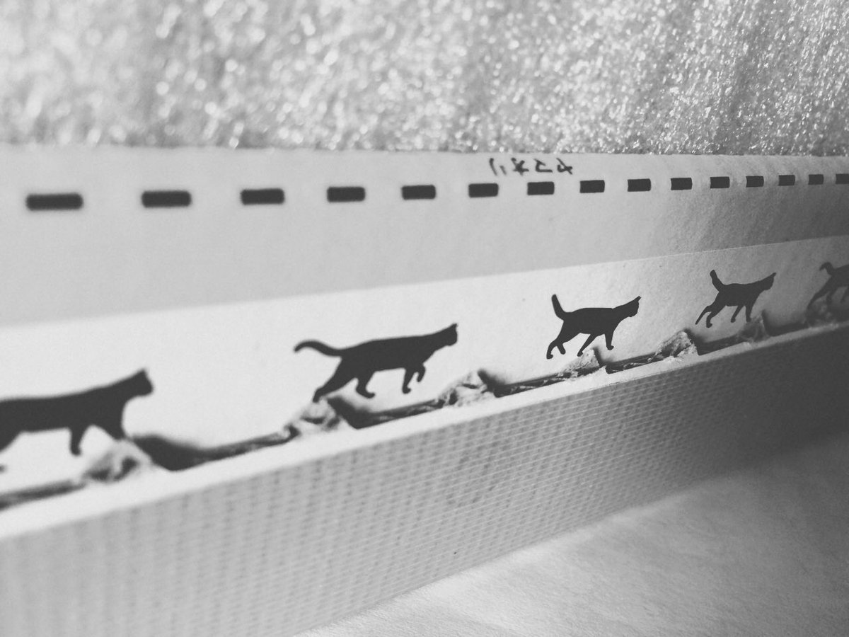chuca404's tweet photo. monochrome … color
#iPhone #feelca https://t.co/IGiSVtAMGy