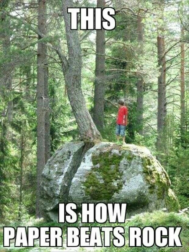 BellesBeautiful's tweet photo. Can think of a few people who will like this 😉😉 #RockPaperScissors https://t.co/uGv7aeevg8