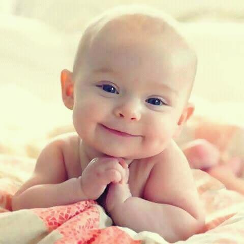 Gehanwaled tweet picture