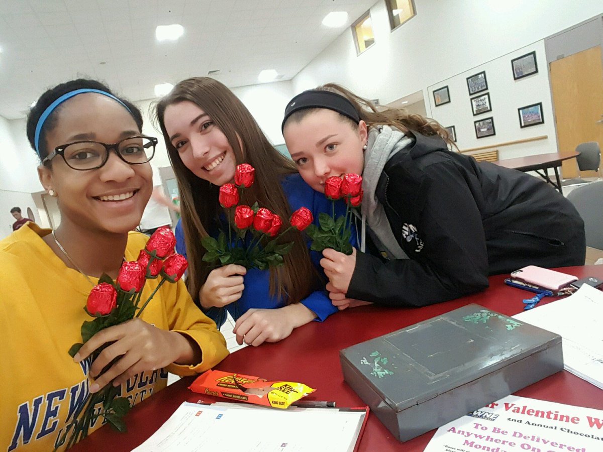 WNE Volleyball tweet media