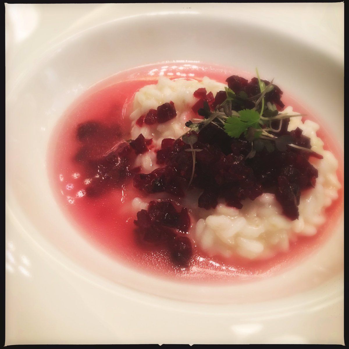 Sandra Salerno 🗺 tweet media