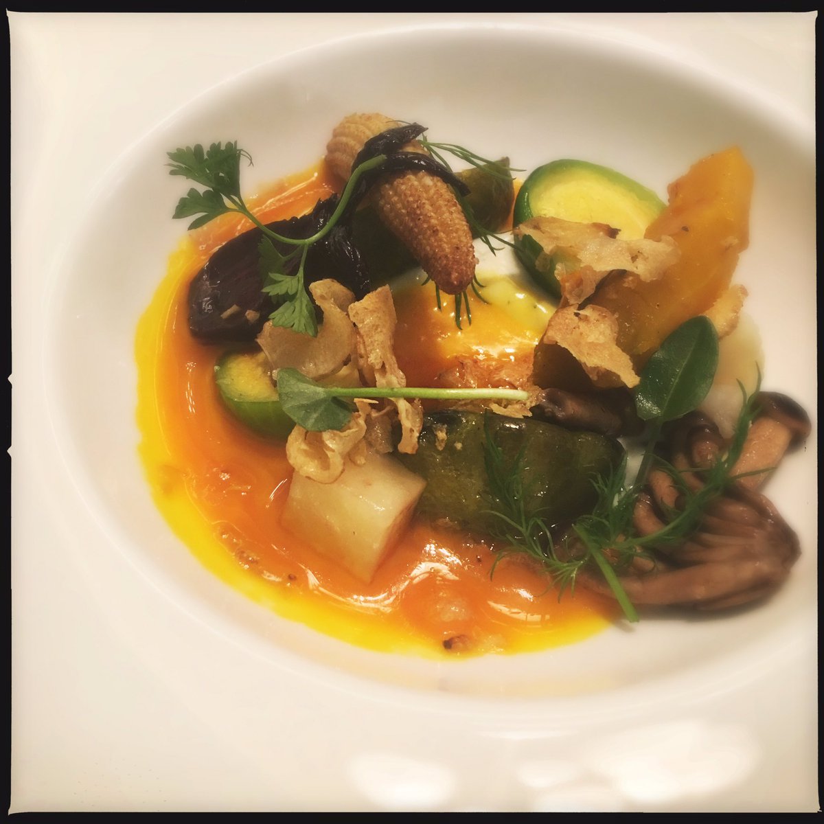 Sandra Salerno 🗺 tweet media