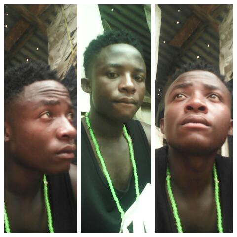 hackimmaisha1 tweet picture