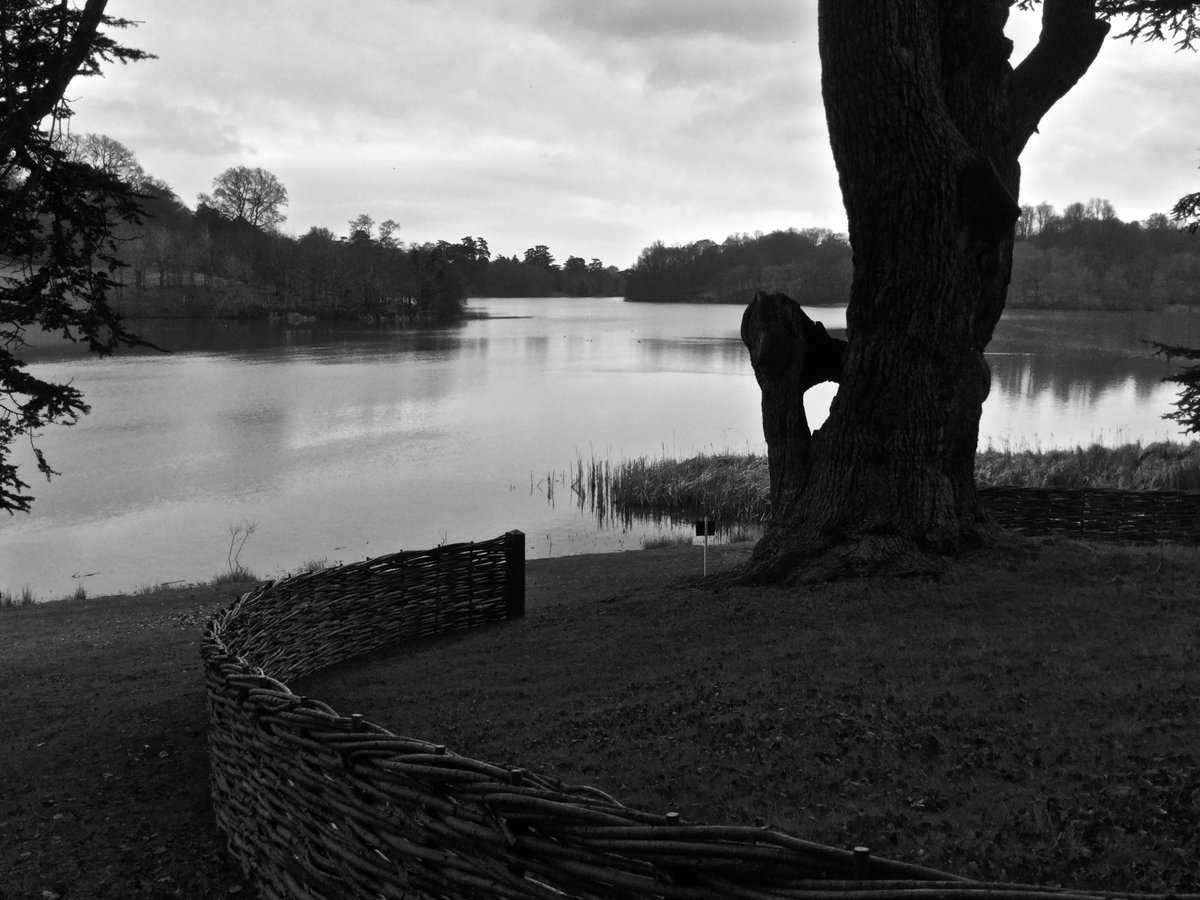 Slightly purposeless but strangely beautiful natural fence invades Capability Brown's Blenheim Park... burwashwonderwood.com/gallery/defaul…
