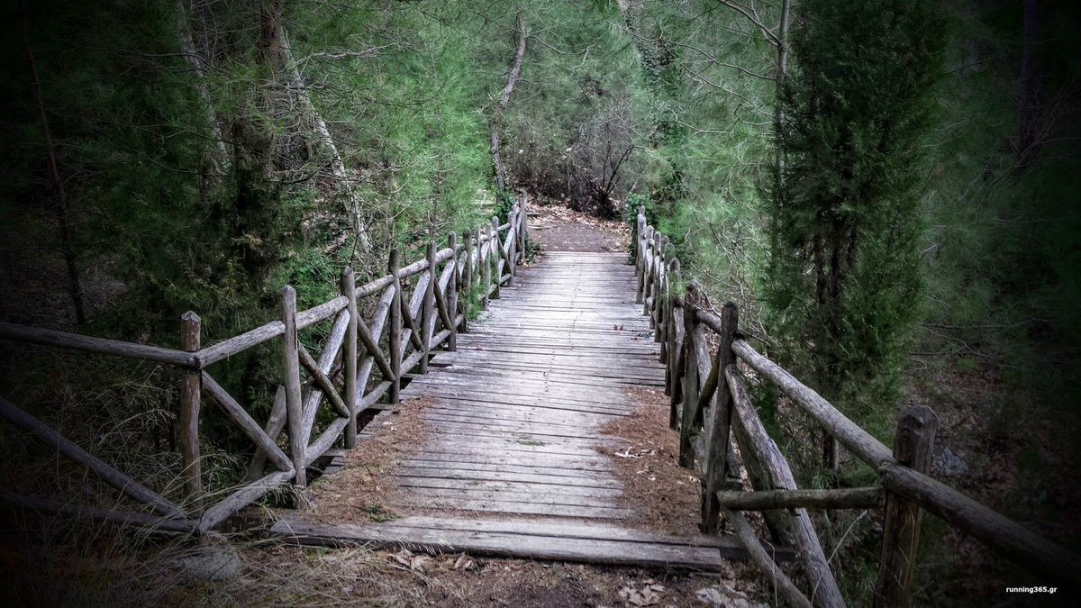 VaPsychogios's tweet photo. running365 η συνέχεια 672 Σέιχ Σου / running365 keep going 672 Seich Sou
https://t.co/uywzdJ3s6x
#butterfliesinmotion https://t.co/27UBPA8ZUQ