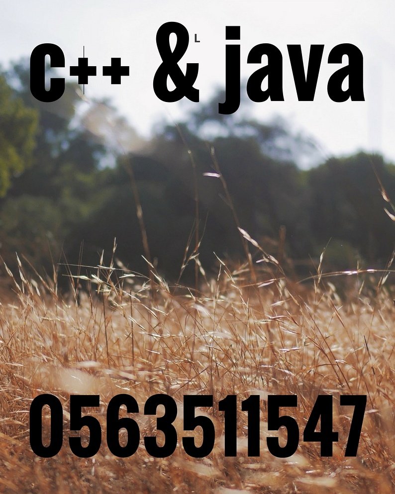 i hamed (@mr_java_c_plus) on Twitter photo 