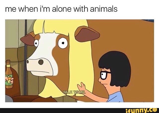 Who doesn't like Tina?