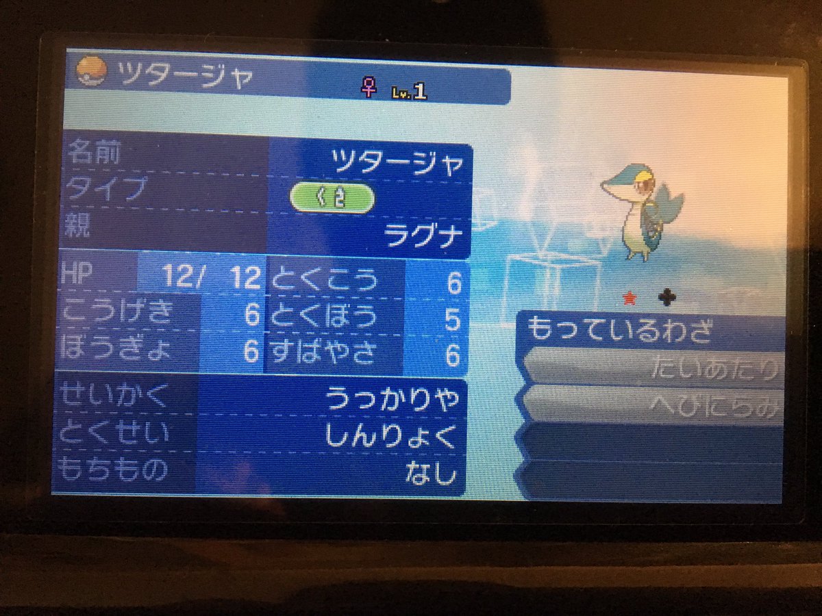 おこちゃ ポケモン Ocochaabc Twitter おこちゃ ポケモン Ocochaabc Twitter