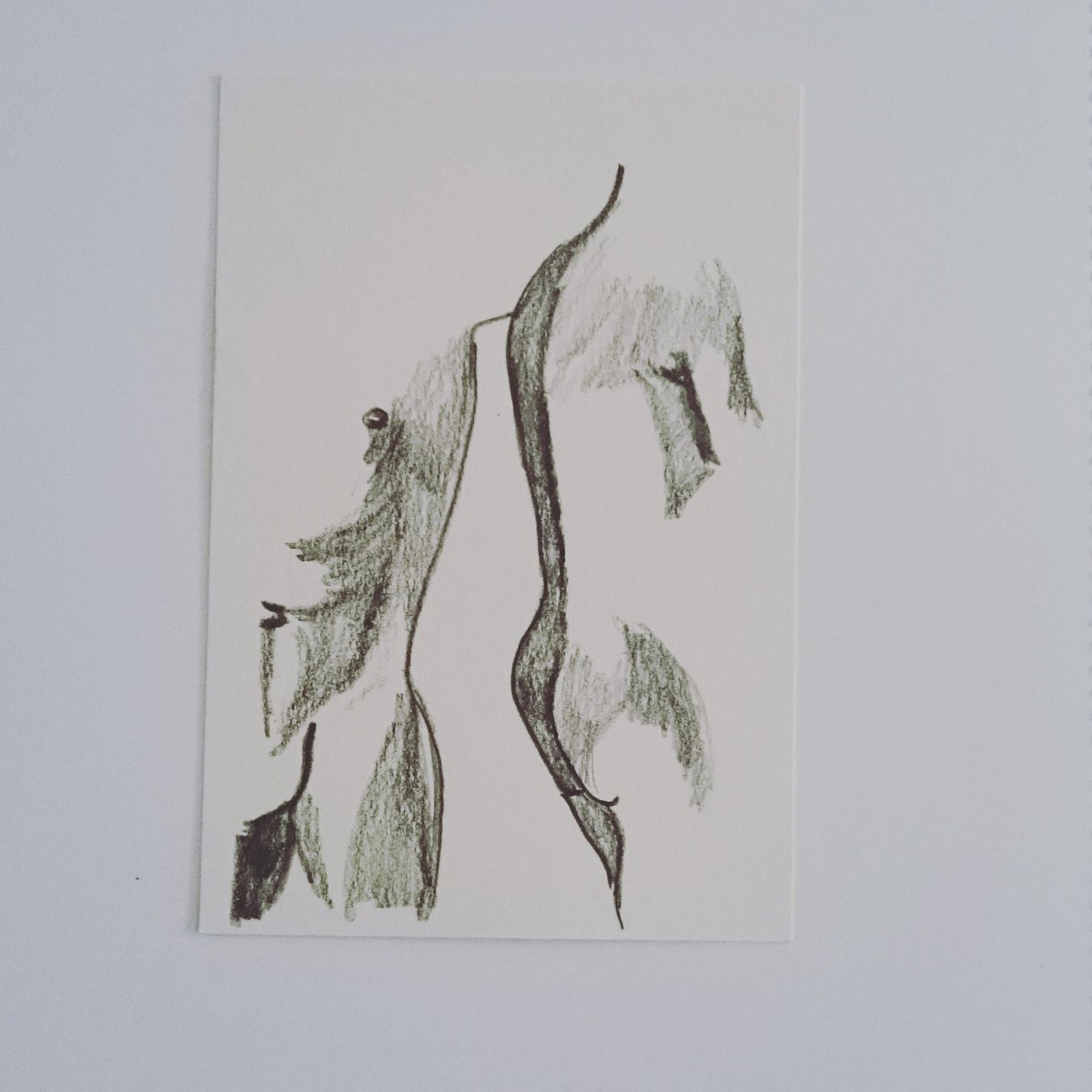 sallyfirino's tweet photo. #structure #tonal #experimental #markmaking #twoforms @AlexRoberts9 @DrawingProjects https://t.co/mGtZ4W2qx7