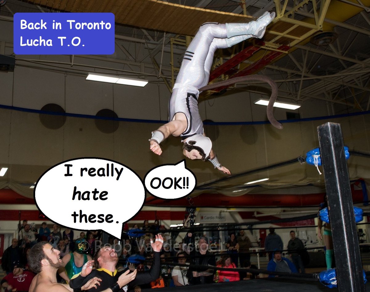 PWSpaceMonkey's tweet photo. #SpaceMonkeyComicsโฆ
#Moonsault at @Lucha_Toronto!!
#Toronto #wrestling #BackFlip #BackLayout #parkour #wrestlekour
pic by @Robbs_Rasslin https://t.co/79cRAmppSX