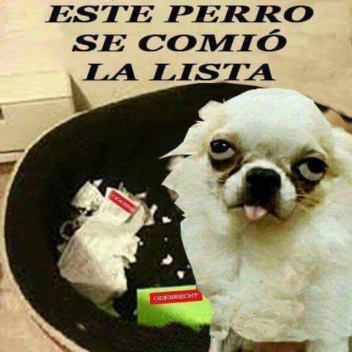 frisant's tweet photo. Perro malo perro malo!! 😂 #fiscalEC #listaodebrecht https://t.co/iGV9Zs0gbl