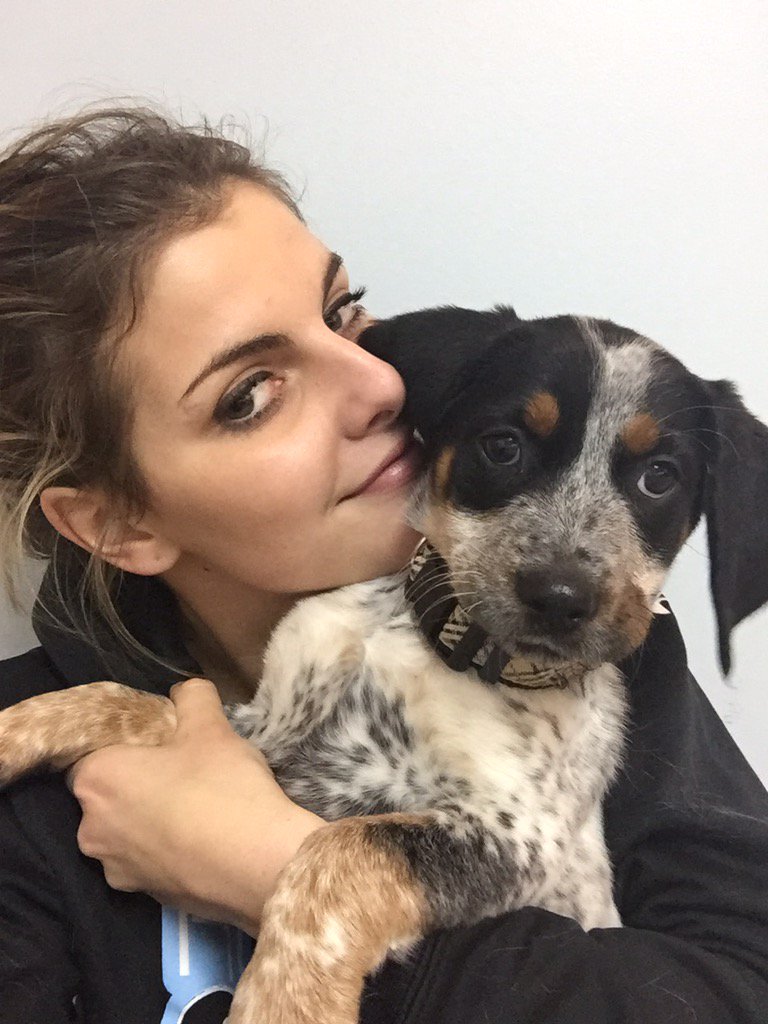 PoopCross's tweet photo. My hair smells like a dairy farm and I'm exhausted but my puppy is the best https://t.co/xbh0I0H9hJ