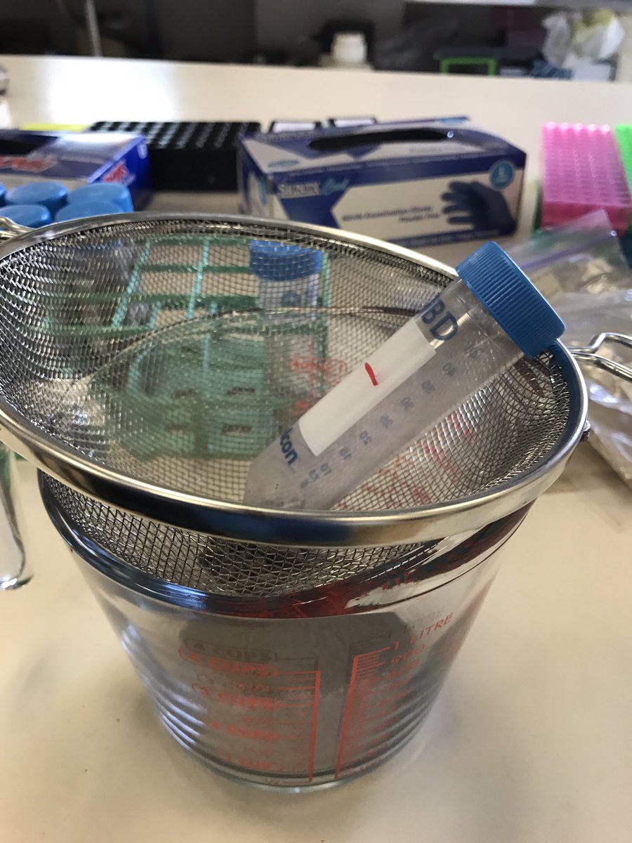 Rojelio's tweet photo. Highly calibrated scientific equipment being used in Ecuador soil study. https://t.co/g6cvYqMkzH