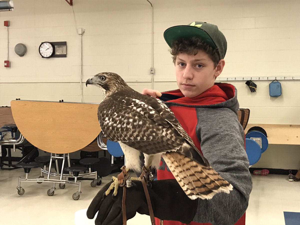 LisaBisbee's tweet photo. Falconer@WCS! #redtailedhawk #wsdvt #swifthouse #litgroups https://t.co/plNPOfmAQT