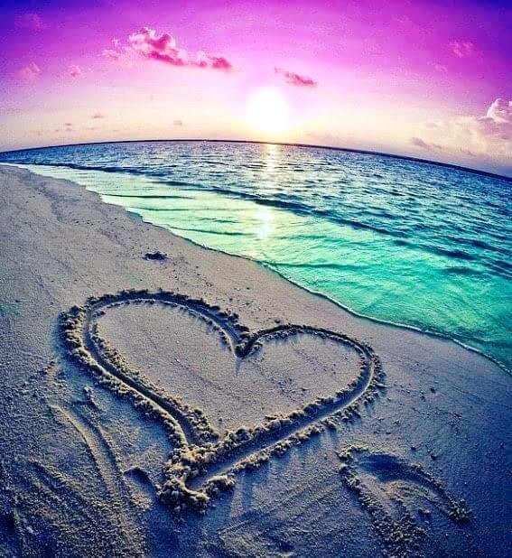 Kari Joys MS tweet media