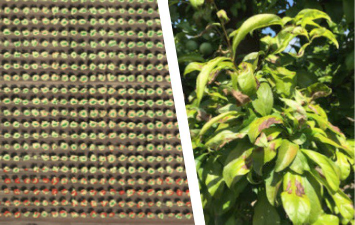 MicaSense's tweet image. #UAV imagery saving $ &quot;Instead of spending money to adjust pH, we opted for surface H20” Read it, see the #AtlasData bit.ly/2hrfn2q