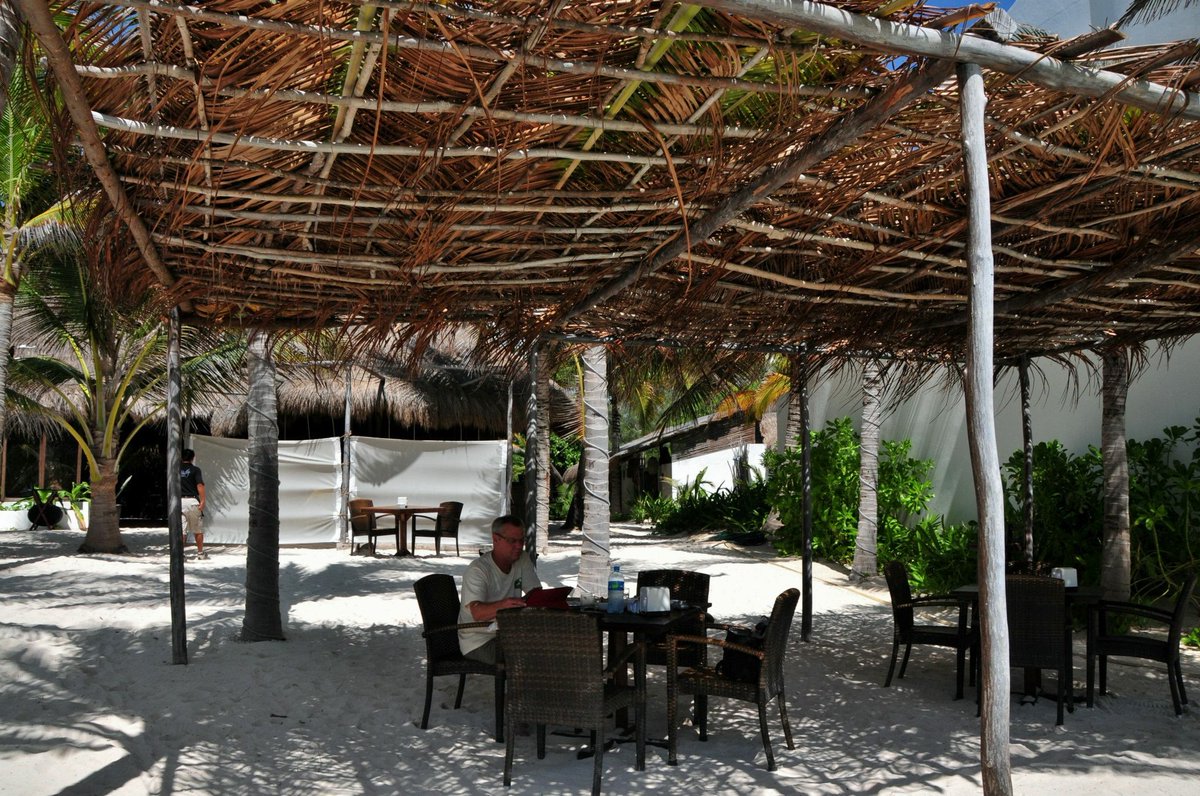 LWMagicalMystic's tweet photo. Going back to Paradise
@EsMexico
@RivieraMaya
@TheBeachTulum
#MayanRiviera
#RivieraTulum
#TheBeachTulum
#ZiggysTulum
#MayanRuins https://t.co/DClqICwRBM