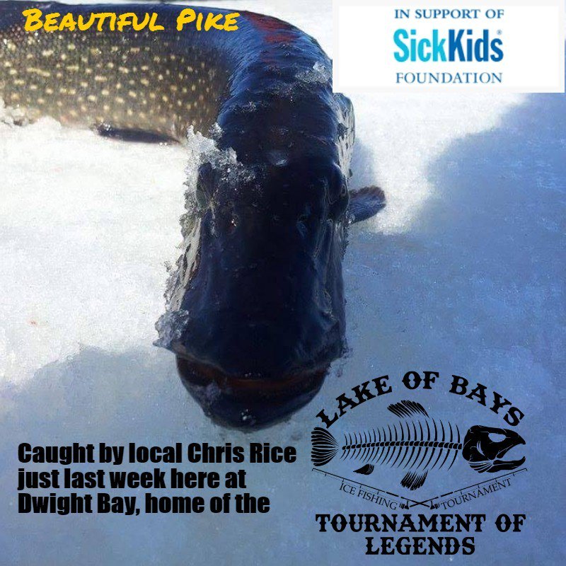 LOB_ICE_FISHING's tweet photo. GET YOUR TICKETS NOW!
ONLY 10 DAYS LEFT!
https://t.co/DZOdqO8bAs https://t.co/MjJStOqd2P