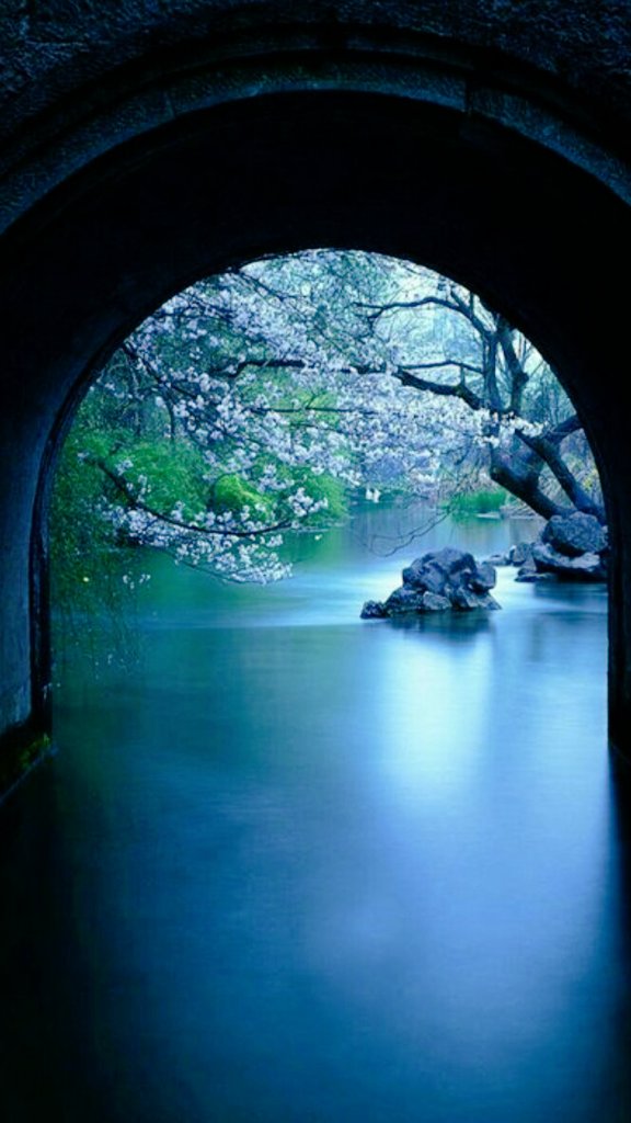 ........           BOB  DYLAN           ........
       knocking on heavens door
...Para mi Padre...Mi mejor Amigo..
youtu.be/pJVtHBHcuV0