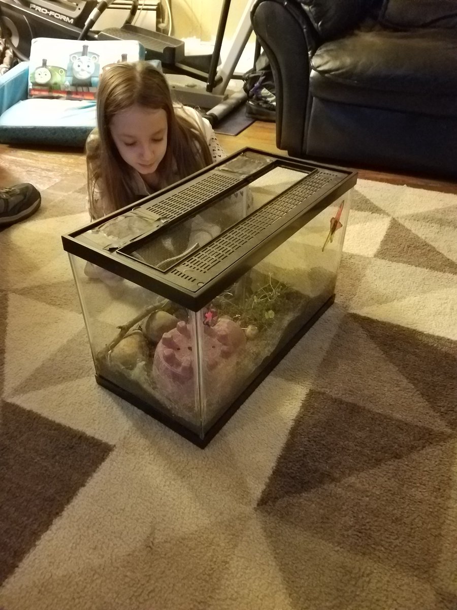 littlemommy0811's tweet photo. @AAE_PARP #Parp2017 @AAE_Dalers Delilah Mastermaker Grade:3 @aboff212 ๐ ๐ reading to her parents๐ช & toads,Toadalina & Toadsph.๐ธ https://t.co/6EfJnMq6O9