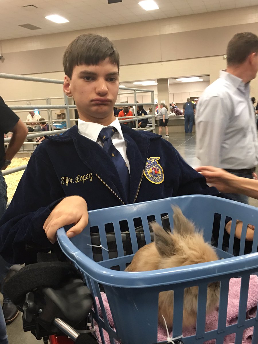 Jodi Lea (@mrsjodilea) on Twitter photo KHS Students showing their Bunnies with Bearkat Pride! <a href="/KleinHigh/">Klein High School</a> #KleinGold ππ° KHS Students showing their Bunnies with Bearkat Pride! <a href="/KleinHigh/">Klein High School</a> #KleinGold ππ°
