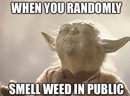420's tweet photo. the force is strong here in SF https://t.co/X9LJqB1ww5