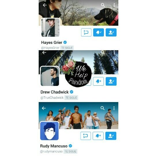 WeHelpFandom's tweet photo. RT por acceso a una cuenta con estos follows👇
➡Debes seguirnos y tener las notificaciones on (manda ss)⬅
🌹Elijo al azar🌹 https://t.co/kwtrwNh51f