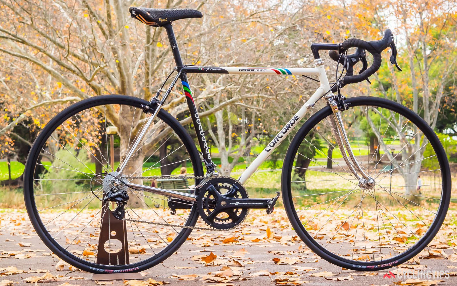Restoring old road bike sale