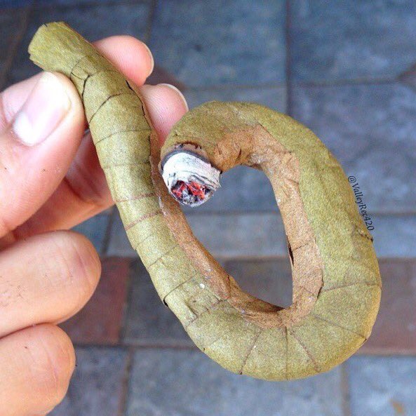WorIdStarComedy's tweet photo. "Wyd after smoking this?" https://t.co/aTQzDxDg15