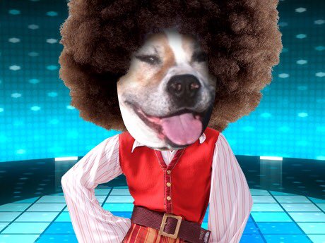 Anyone care to join me in a momentary dance break from the madness of this world?