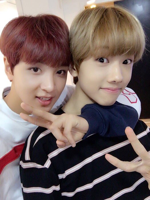 BABYJISUNG_TH's tweet photo. (UPDATE) 170209 #NCT Vyrl Update #NCT_DREAM #JISUNG #지성 ภาพจากการไลฟ์เมื่อคืนค่ะ 😆 จีซองผู้เข้ากล้องของทุกคน😂 https://t.co/BV7y5MiEku