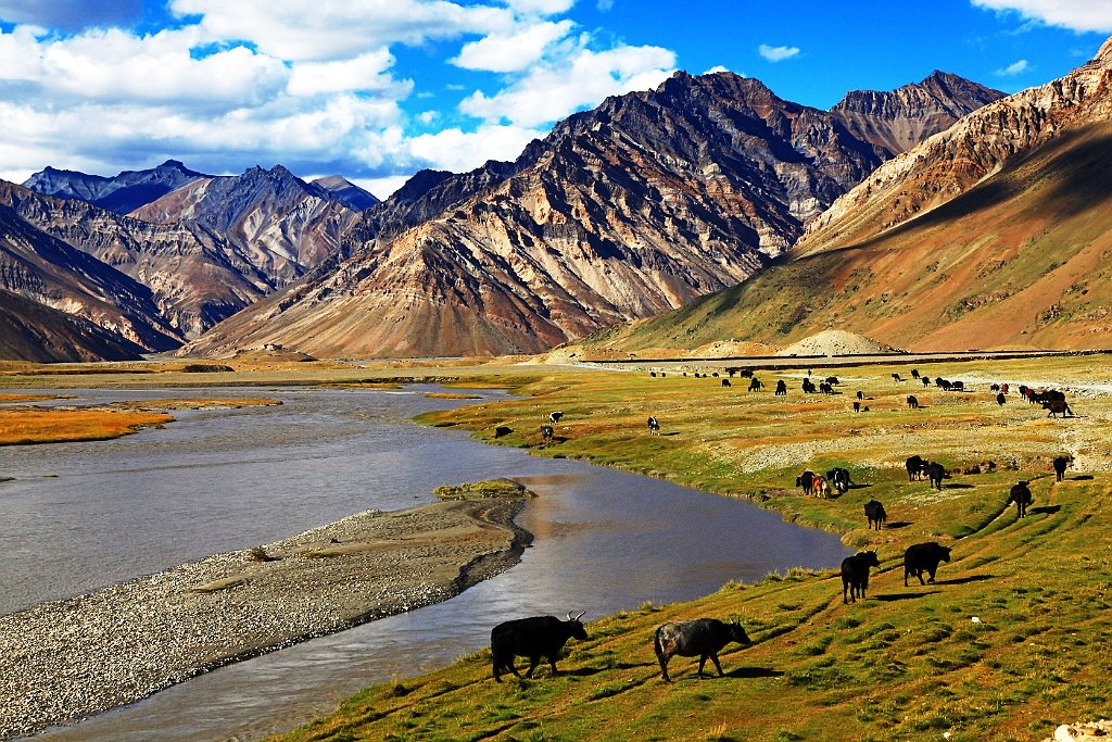 holidaysgenius's tweet photo. 7 Mesmerizing #Places_to_visit_in_Ladakh. To know click here:https://t.co/DP5SiBgVDU https://t.co/3XVJbi35wr
