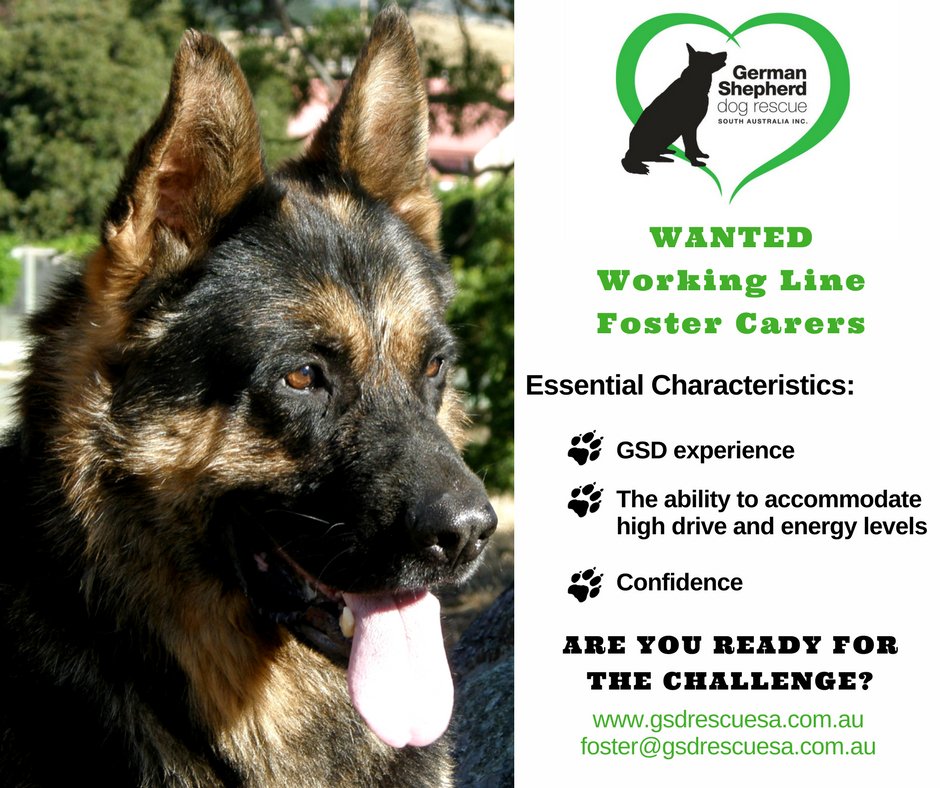 german shepherd rescue south