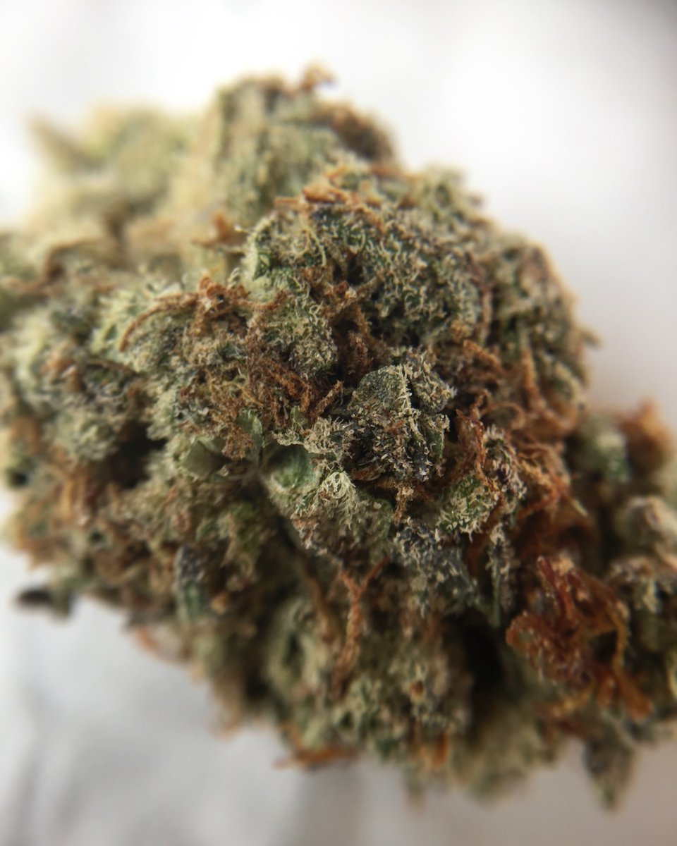 grn_six's tweet photo. DANK DANK DANK🙏🏼🙏🏼🙏🏼🙏🏼 check out our insta for more // https://t.co/ohjFW2ZDOd https://t.co/2hHgRr2r1O