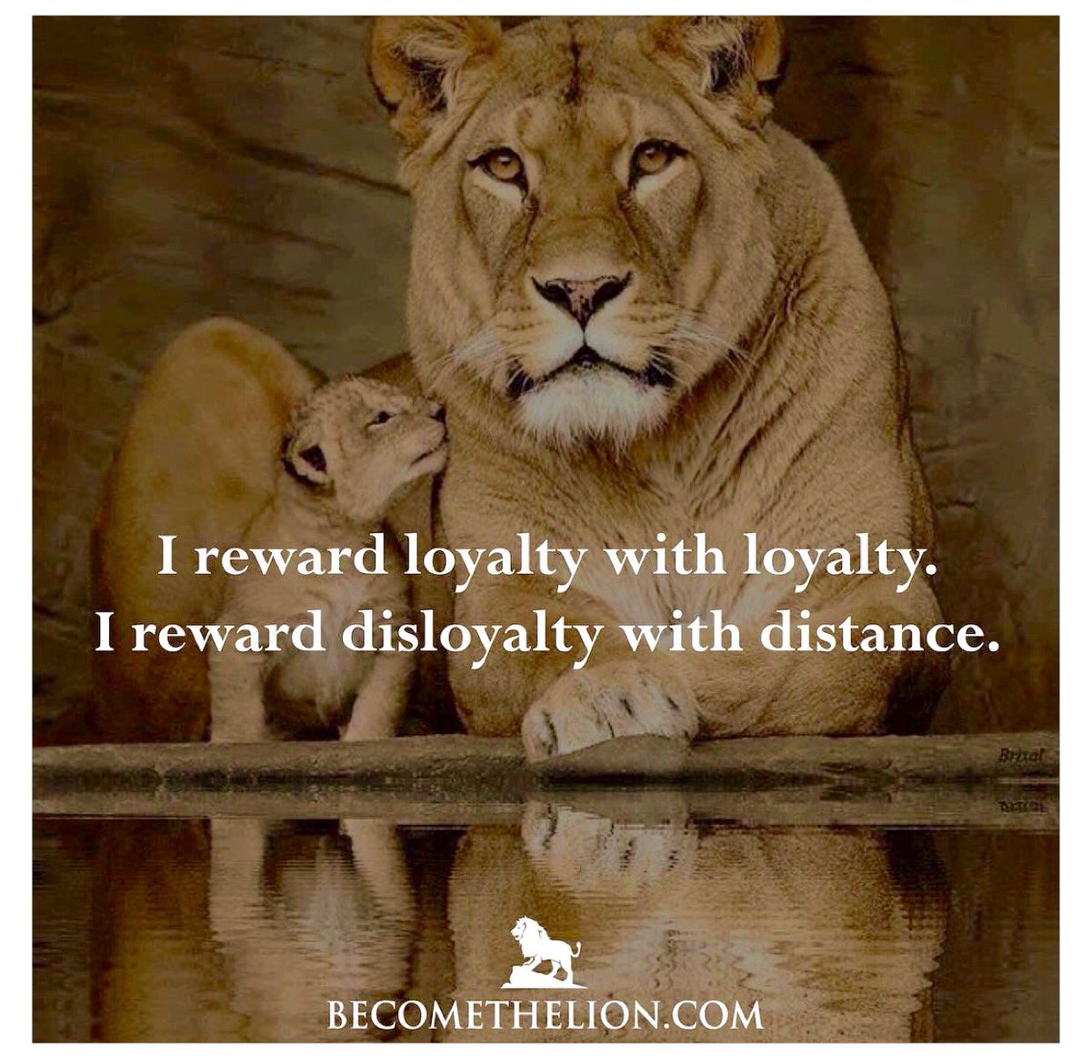 10MillionMiler's tweet photo. I Reward Loyalty With Loyalty. @10MillionMiler #quote #Inspiration #loyalty #Leadership RT @Become_The_Lion https://t.co/YB4bwRIyTG