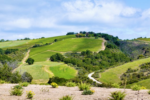 Law Estate #Wines: Passion &amp; aesthetics inspire a #winery ow.ly/fhl5308Pkn0  #WineWednesday #IFWTWA  <a href="/LawEstateWines/">Law Estate Wines</a> <a href="/PasoRoblesWine/">Paso Robles Wine</a>