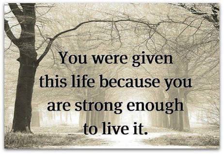 InspyroLife's tweet photo. https://t.co/Wzm9Ov6djE