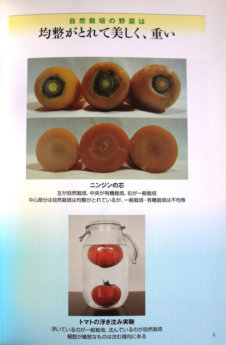 三宅洋平 Twitterissa 僕が自然野菜に強く関心を持つきっかけになったのが この本との出会いでした 栄養過多や 農薬野菜は 腐る が 自然野菜は 枯れる 野菜の裏側 本当に安全でおいしい野菜の選び方 河名秀郎 著 T Co Nzlfd0fsmt T 三宅洋平 Twitterissa 僕が自然野菜に強く関心を持つきっかけになったのが この本との出会いでした 栄養過多や 農薬野菜は 腐る が 自然野菜は 枯れる 野菜の裏側 本当に安全でおいしい野菜の選び方 河名秀郎 著 T Co Nzlfd0fsmt T