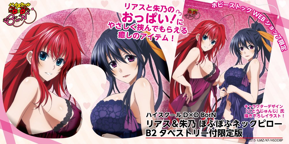 ハイスクール D×D リアス タペストリー 販売在庫 www.spiralesdelux.fr