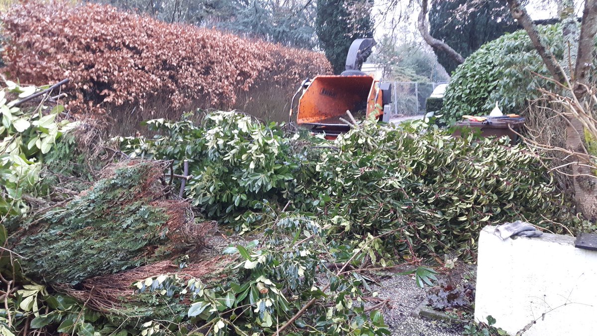 Gister maar een snipperdag genomen.