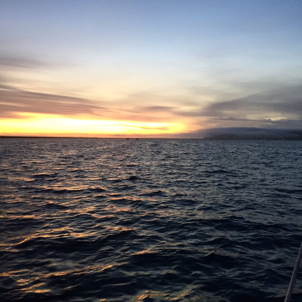 CHRISCLVRK's tweet photo. Today. #Waterlife https://t.co/0b7oC2jnZ4