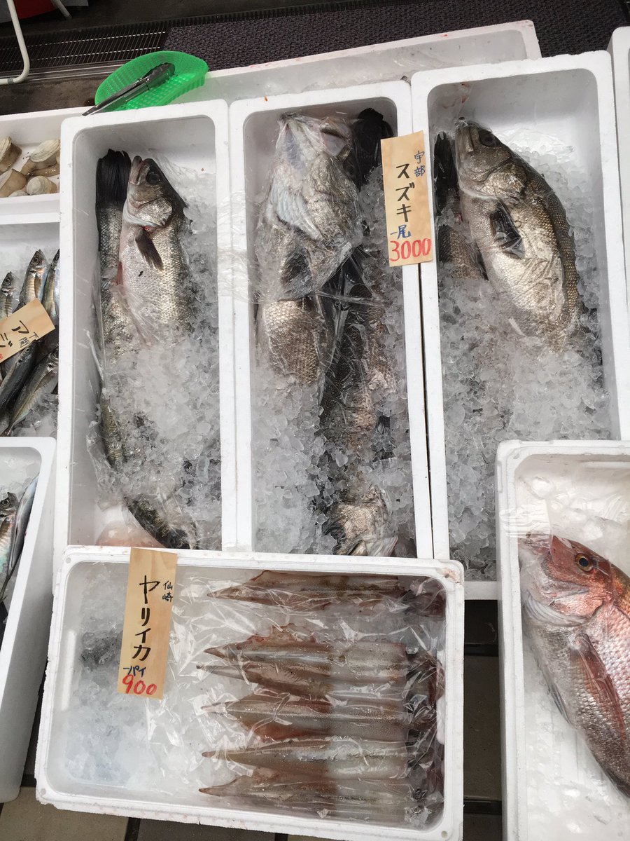 sakanayanmgr's tweet photo. #魚屋波柄 #中市商店街 
天然魚勢揃い⭐︎
天然!萩産!今が旬! 限定10食
絶品✨ぶり丼ご用意致しております^ ^

皆様のご来店心よりお待ちしております🌷 https://t.co/ythfEuvjBL