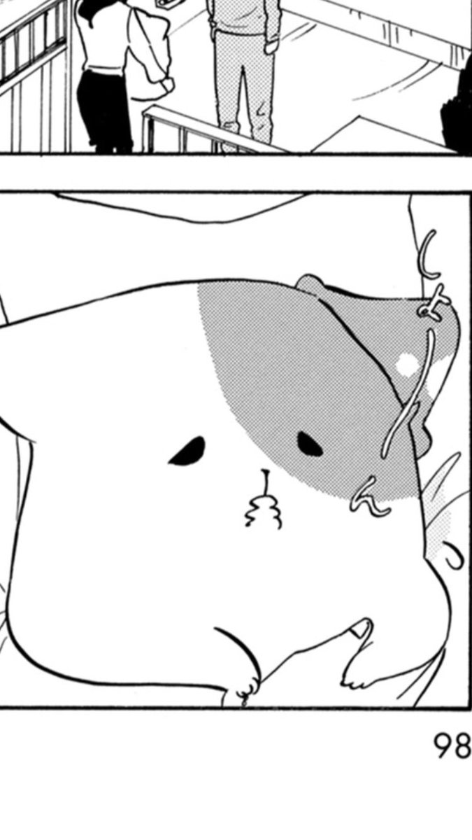 こじょ きのこいぬがアニメ化されたらblu Ray絶対に買うでしょうけど 怖い 自分の考えですが この作品は間と動きが大事でそれにより 自分だけのきのこいぬ がいることが面白さだと思います アニメ化されることで きのこいぬが並列化されてしまうと