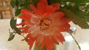 Priceless034's tweet photo. I love floral scents. #MrsMeyersCrowd #sponsored https://t.co/sDhGCxkEmK