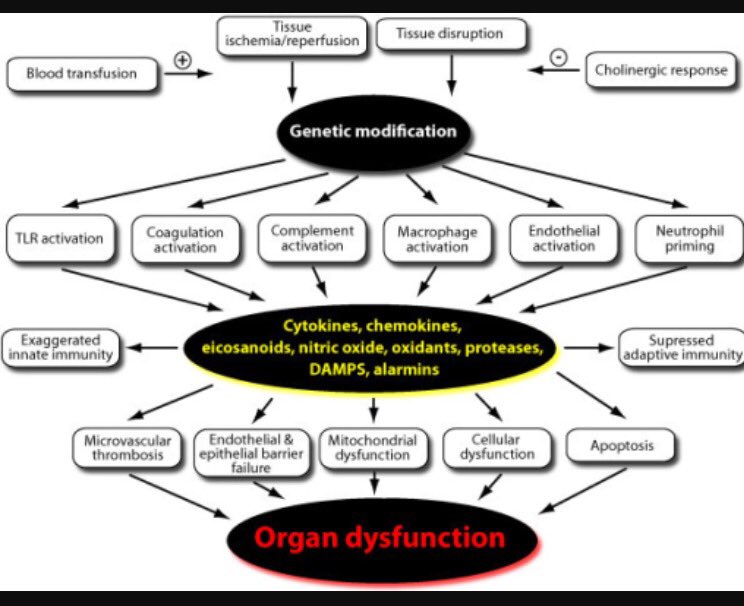 HasimSenel's tweet image. #OrganDysfunction #GeneticModification #Trauma #traumacare #traumaticbraininjuries #traumainformed