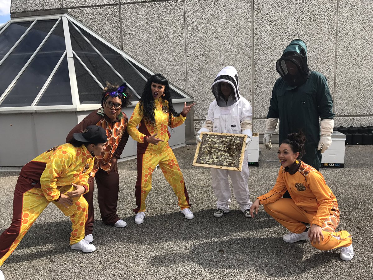 AucklandLive's tweet photo. .@hotbrownhoney have arrived for @AucklandPride, on our roof, in tracksuits, with real bees! We're obsessed! #makenoise #worldpollination https://t.co/VT2j67ET7y