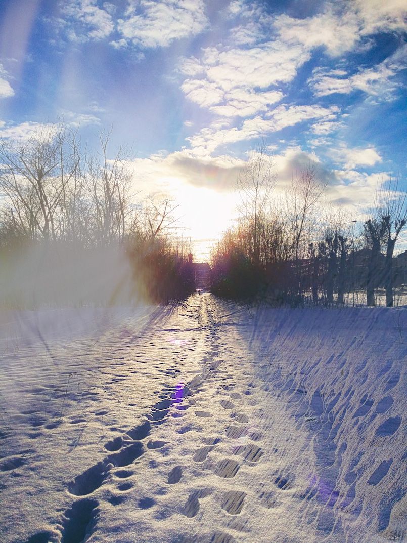 24 #Arctic Inspiration Photos #snowpocalypse | Creativeoverflow buff.ly/2jvSlqT