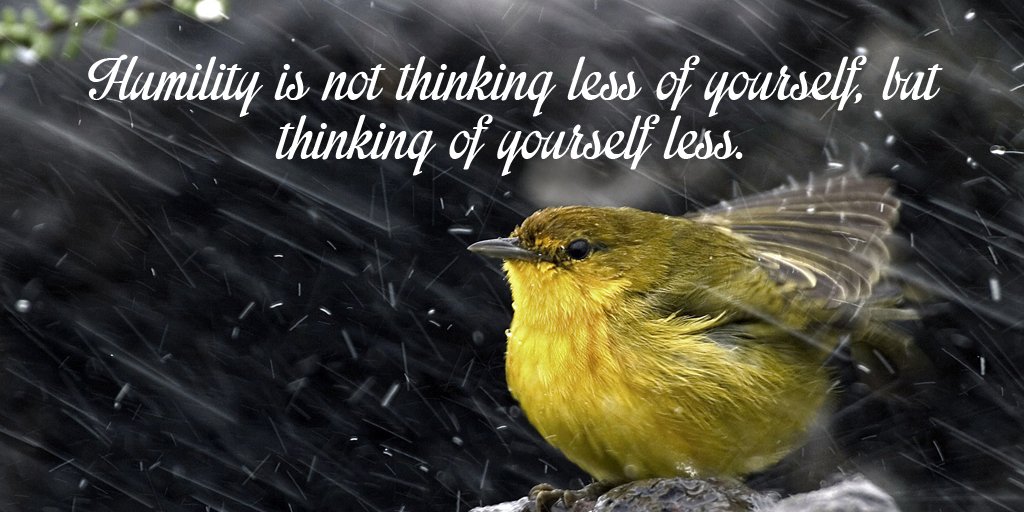 dave_ellington's tweet image. Humility is not thinking less of yourself, but thinking of yourself less. #SuperSoulSunday