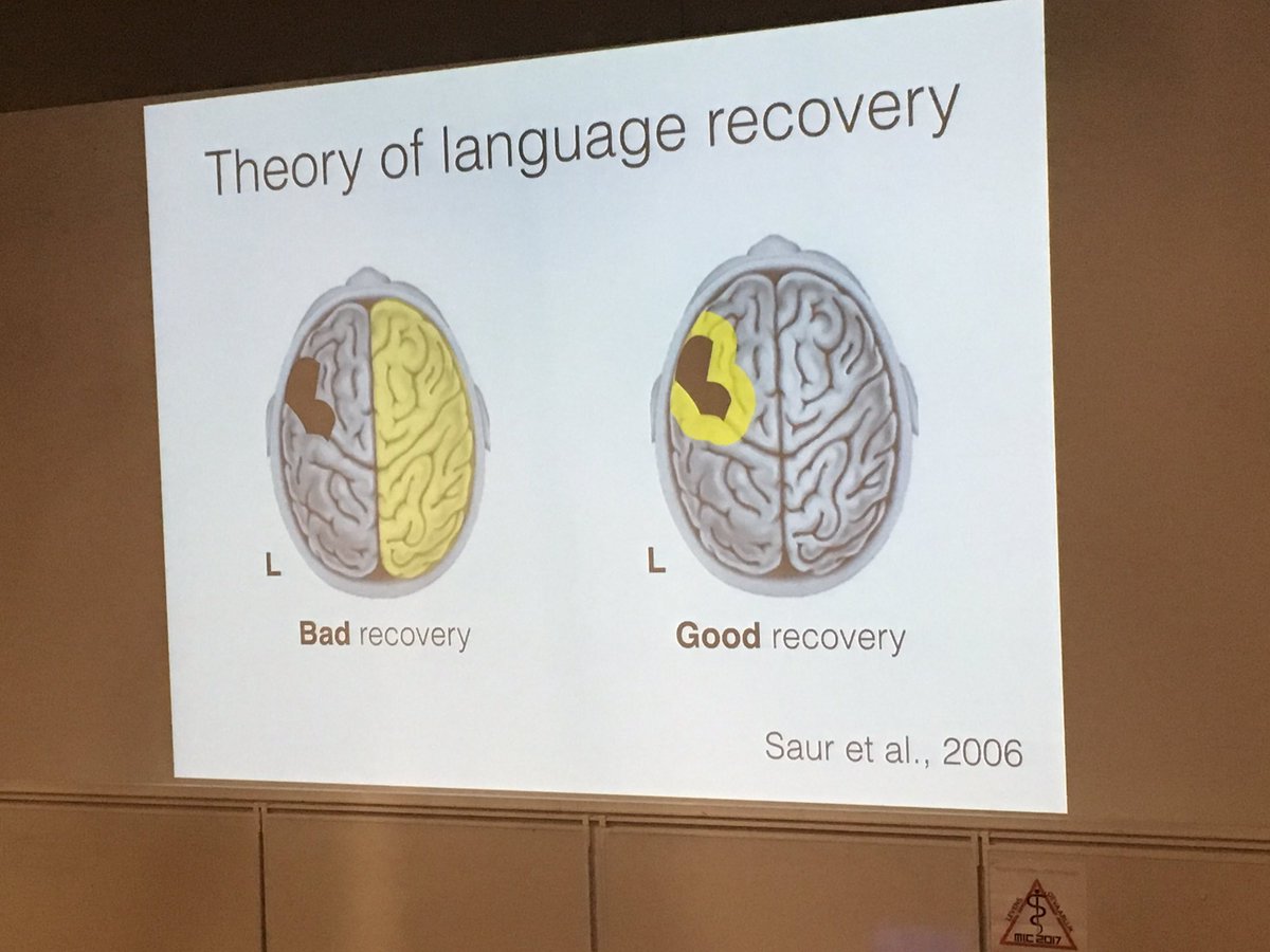 CATs_Aphasia's tweet image. Fantastic research on language lateralisation after cognitive-linguistic therapy assessed with fMRI at #CATs2017 #aphasiaResearch